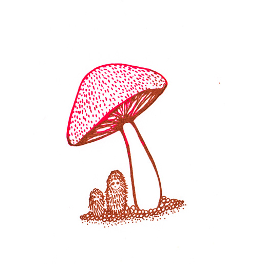 "Mushroom Gnomes" on white