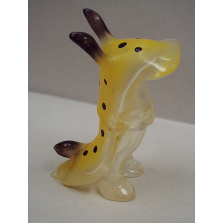 Umiushi - clear with spots Umiushi - clear with spots